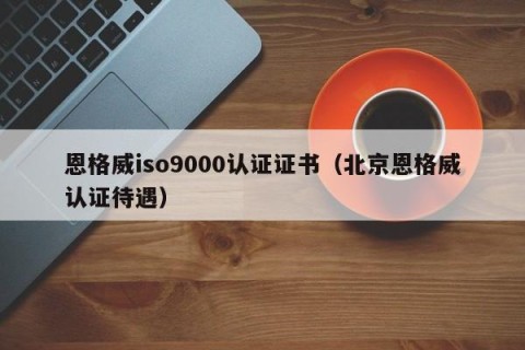 恩格威iso9000认证证书（北京恩格威认证待遇）