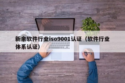 新余软件行业iso9001认证（软件行业体系认证）
