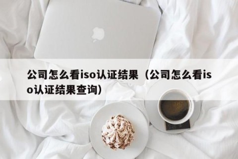公司怎么看iso认证结果（公司怎么看iso认证结果查询）