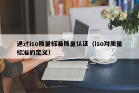 通过iso质量标准质量认证（iso对质量标准的定义）