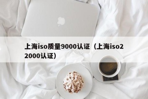 上海iso质量9000认证（上海iso22000认证）