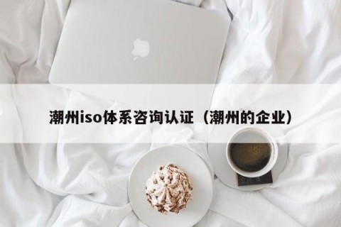 潮州iso体系咨询认证（潮州的企业）