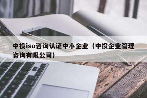 中投iso咨询认证中小企业（中投企业管理咨询有限公司）