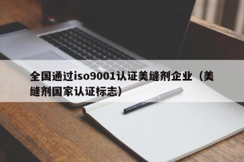 全国通过iso9001认证美缝剂企业（美缝剂国家认证标志）