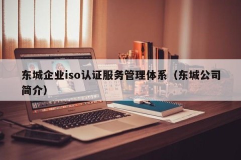 东城企业iso认证服务管理体系（东城公司简介）