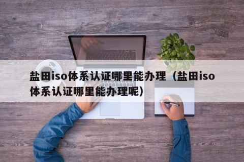 盐田iso体系认证哪里能办理（盐田iso体系认证哪里能办理呢）