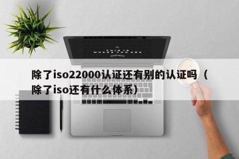 除了iso22000认证还有别的认证吗（除了iso还有什么体系）