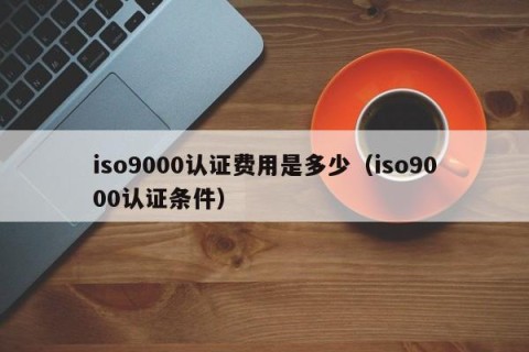 iso9000认证费用是多少（iso9000认证条件）