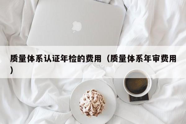 质量体系认证年检的费用(质量体系年审费用)