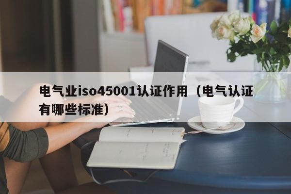 电气业iso45001认证作用(电气认证有哪些标准)