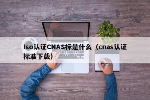 Iso认证CNAS标是什么(cnas认证标准下载)