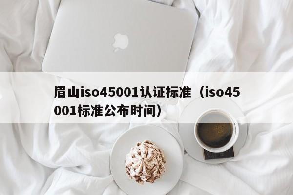 眉山iso45001认证标准(iso45001标准公布时间)