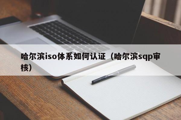 哈尔滨iso体系如何认证(哈尔滨sqp审核)