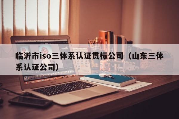临沂市iso三体系认证贯标公司(山东三体系认证公司)