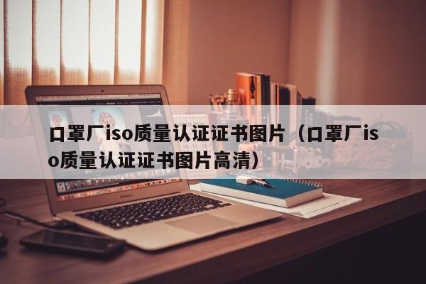 口罩厂iso质量认证证书图片(口罩厂iso质量认证证书图片高清)